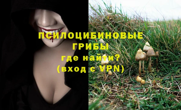 первитин Пересвет