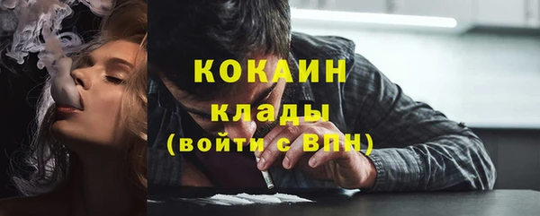стаф Абинск