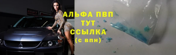 стаф Абинск