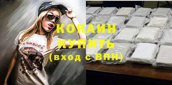 стаф Абинск