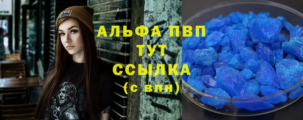 стаф Абинск